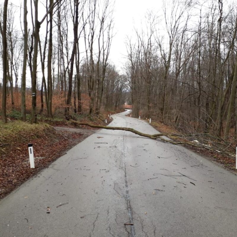 Baum über die Straße