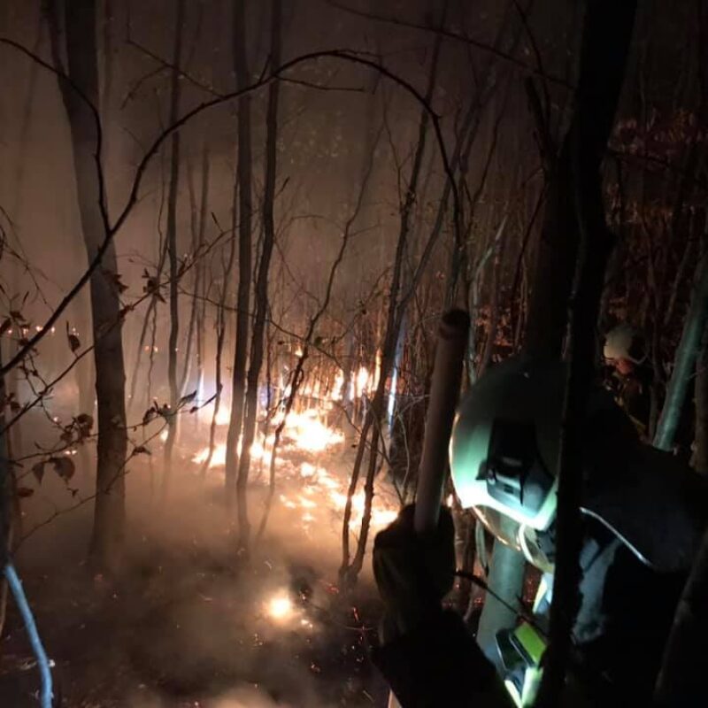 Waldbrand beim roten Kreuz