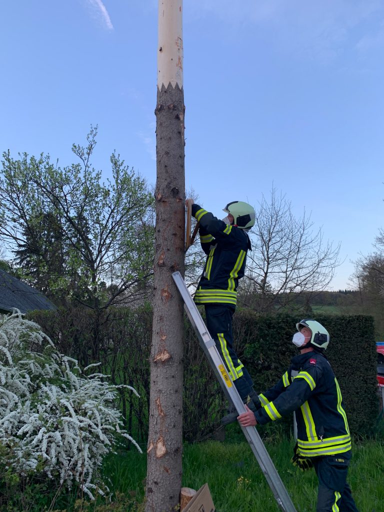 Mehr über den Artikel erfahren Maibaumaufstellen 2021