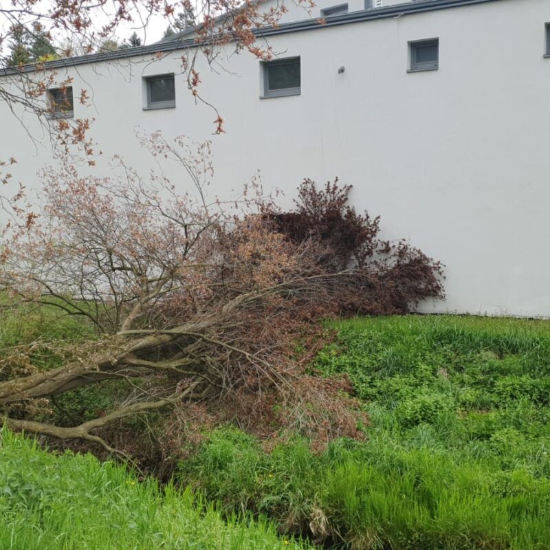 Sturmschaden beim Feuerwehrhaus
