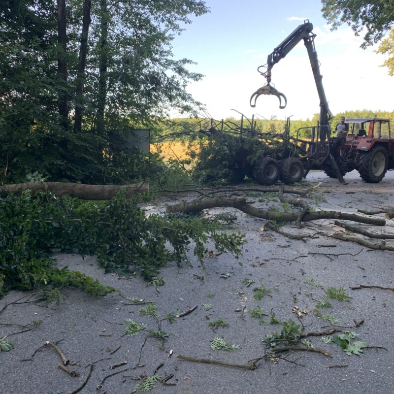 Gefahr durch entwurzelte Bäume