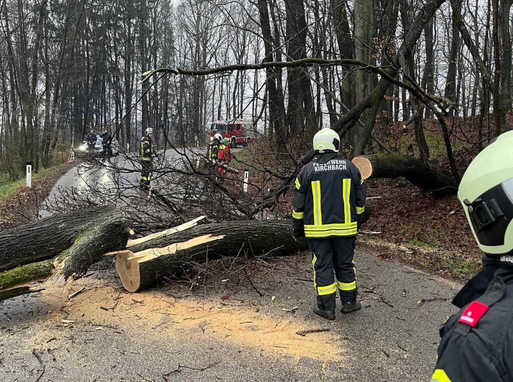 Mehr über den Artikel erfahren Baum blockiert Straße beim Sonnberg