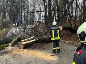 Mehr über den Artikel erfahren Baum blockiert Straße beim Sonnberg