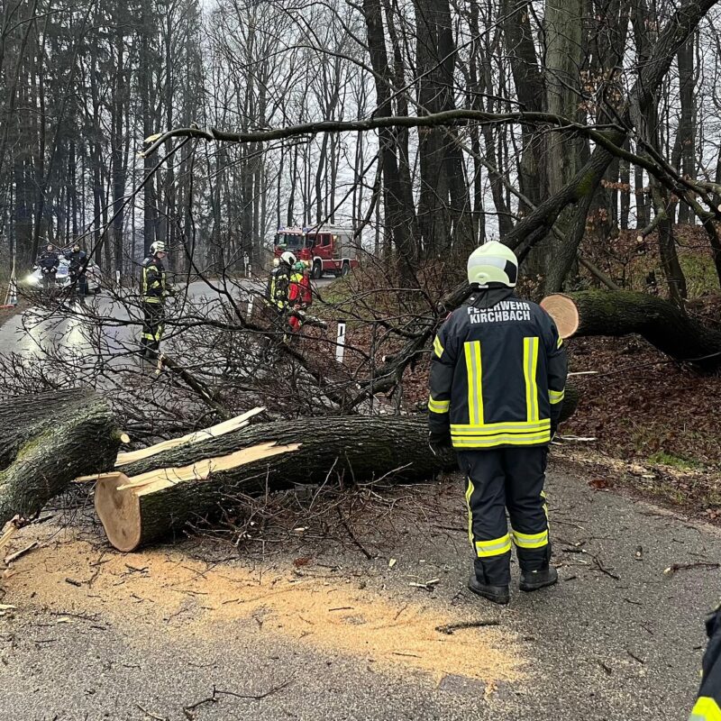 Baum blockiert Straße beim Sonnberg