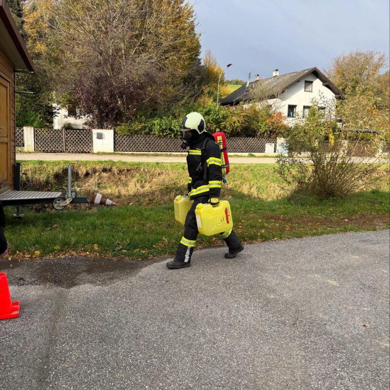 Finnentest für 2025 ✅