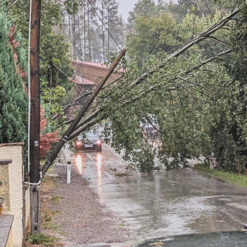 Das große Hochwasser 2024