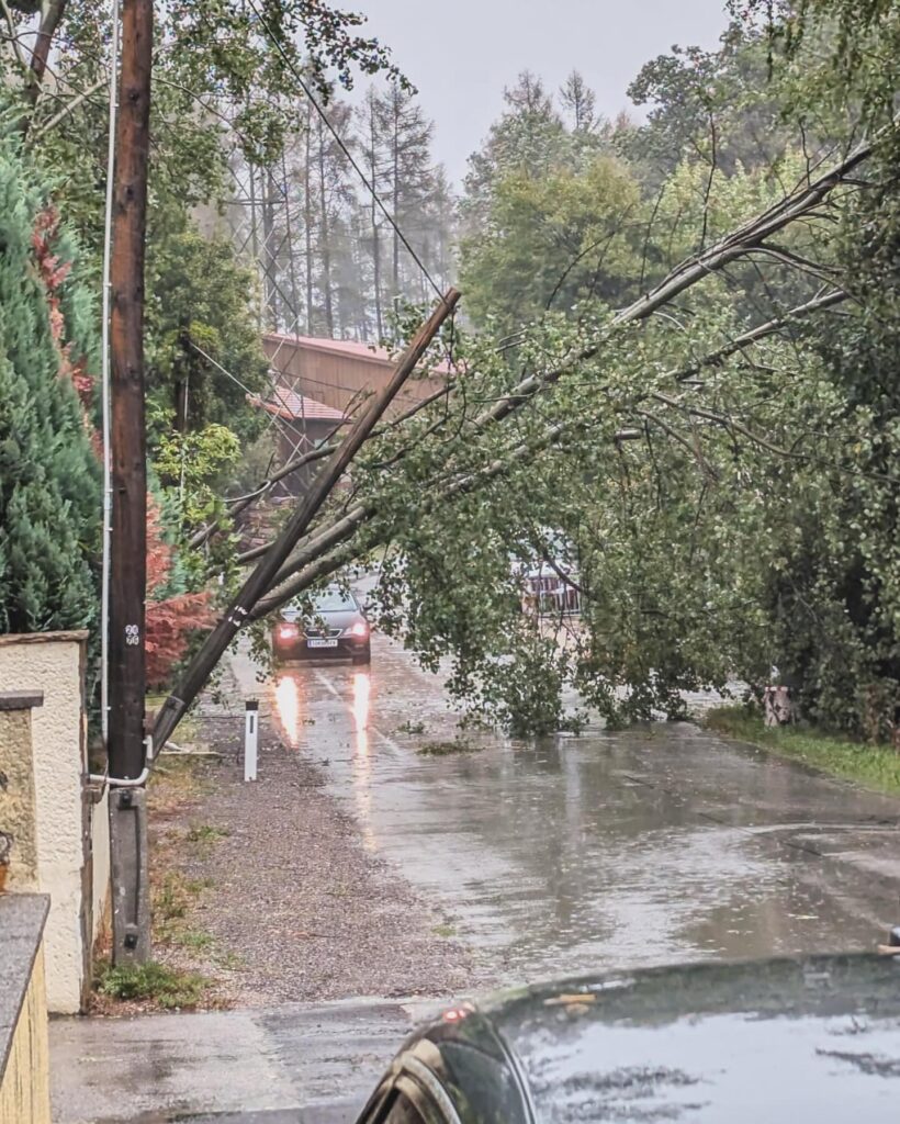 Mehr über den Artikel erfahren Das große Hochwasser 2024