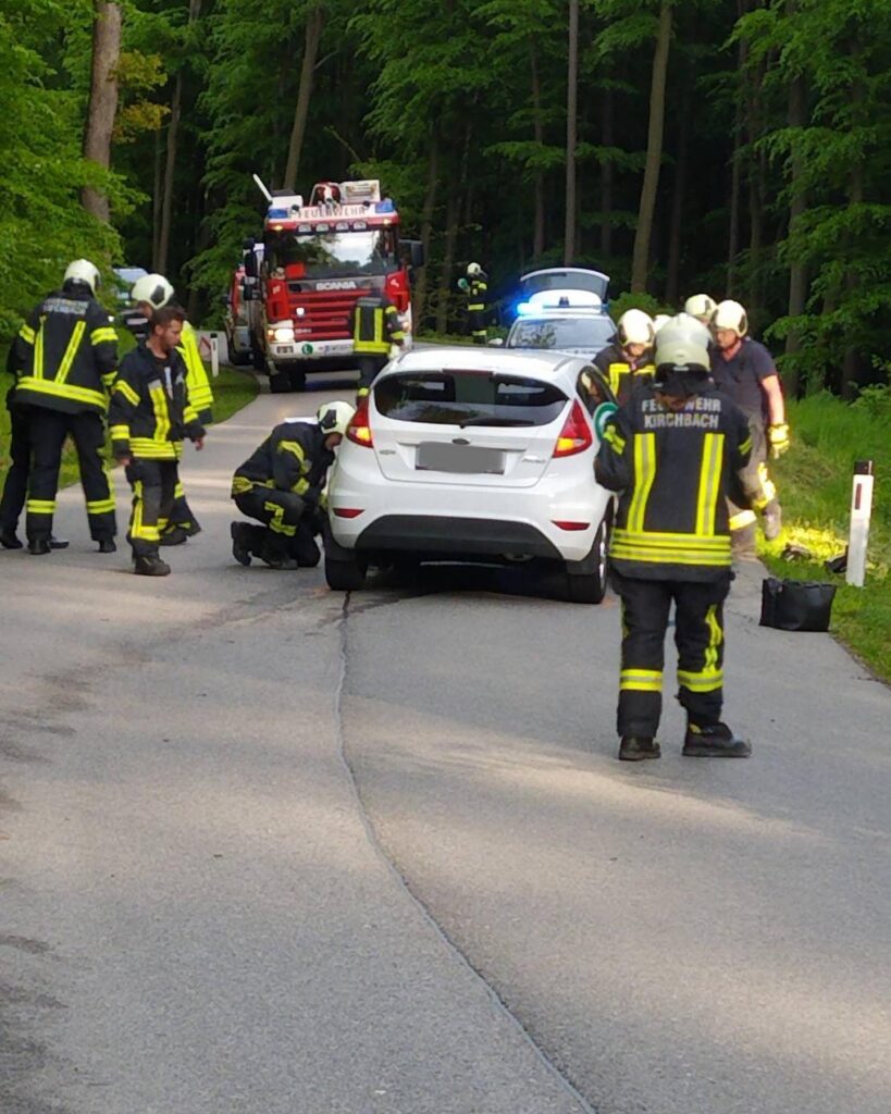 Mehr über den Artikel erfahren Fahrzeugbergung auf der L2010