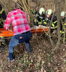 Mehr über den Artikel erfahren Tierrettung beim Spielplatz Unterkirchbach