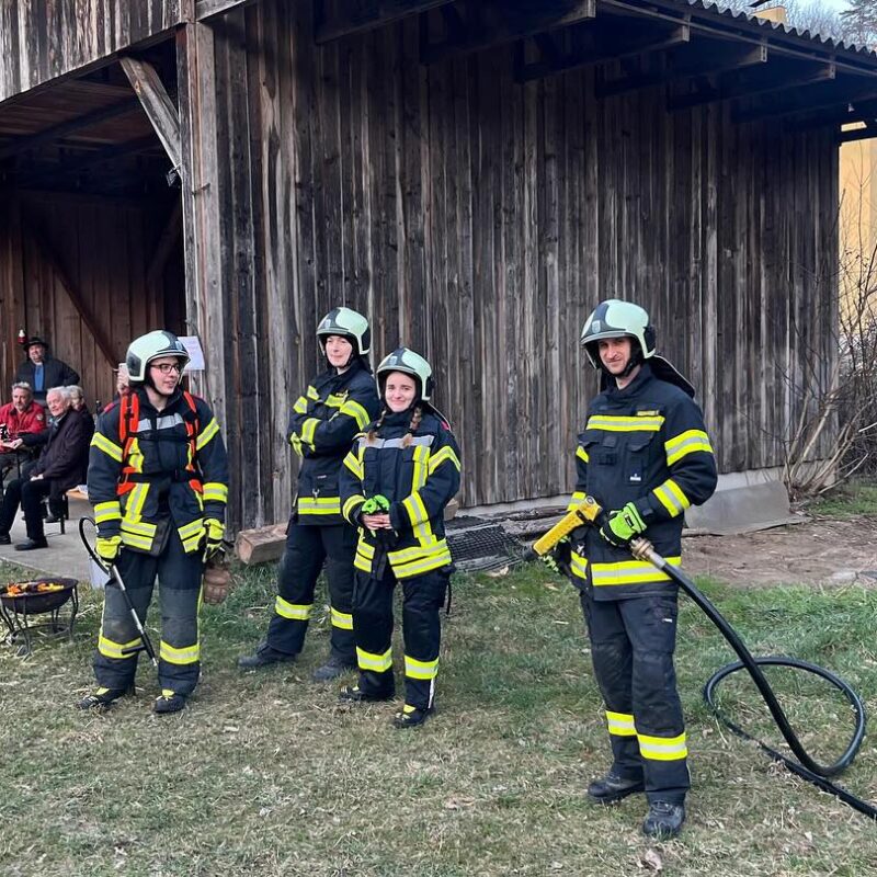 Winteraustreiben 2025