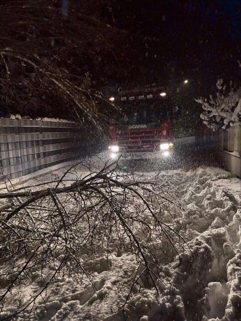 Mehr über den Artikel erfahren Schneechaos geht weiter – Baum umgestürzt