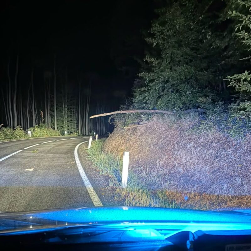 Kleiner Baum auf L120 umgestürtzt