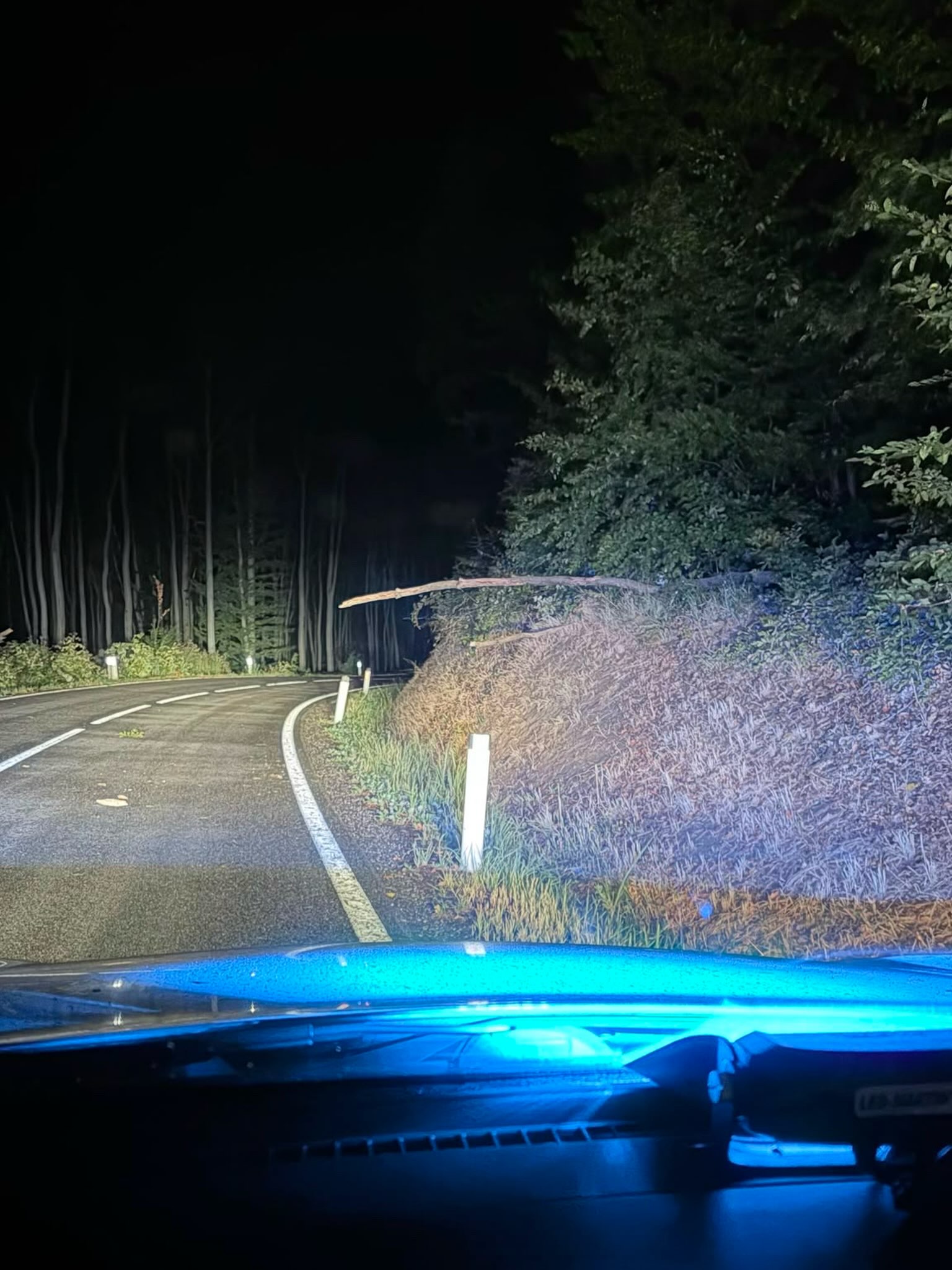 Du betrachtest gerade Kleiner Baum auf L120 umgestürtzt