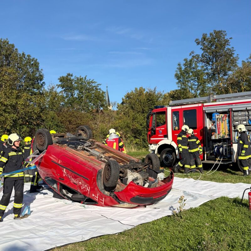 Inspektionsübung in Hintersdorf